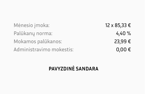 Paskolos su individualia veikla